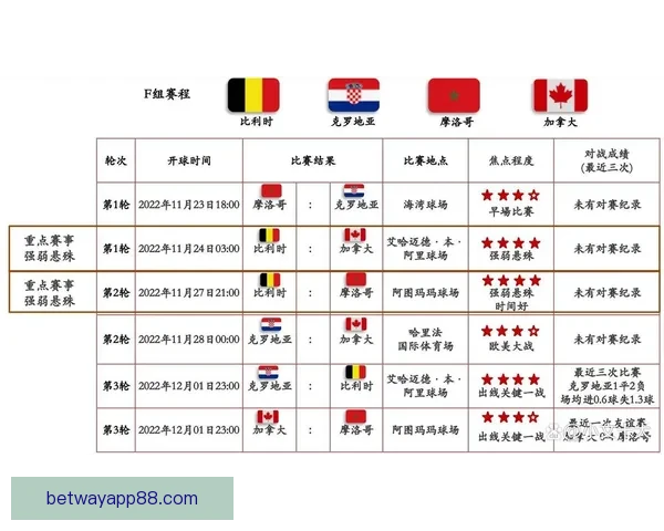 世界杯赛事全面解析与投注技巧指南助你精准投注赢取收益