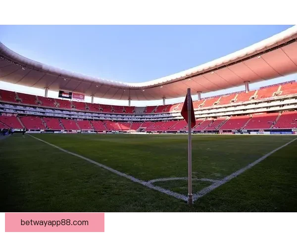 美加墨三国联合举办世界杯城市全解析 热点赛事场馆和文化特色一网打尽